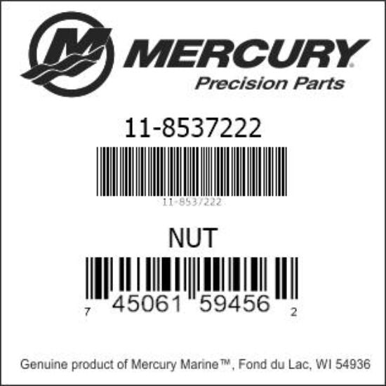 Nut - Fuel Pump #6