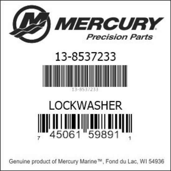 Mercury M8 Lock Washer S/S - Genuine