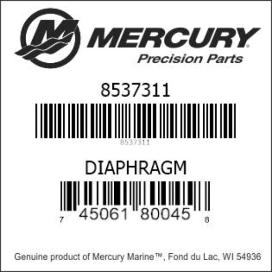 Diaphragm Set - Fuel Pump #9