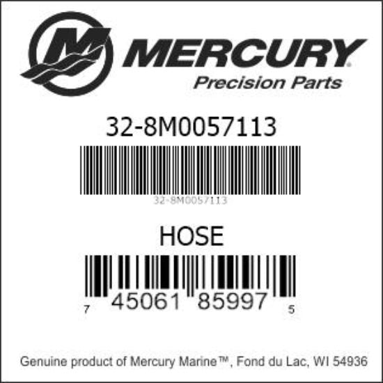 Hose - Fuel Pump #17