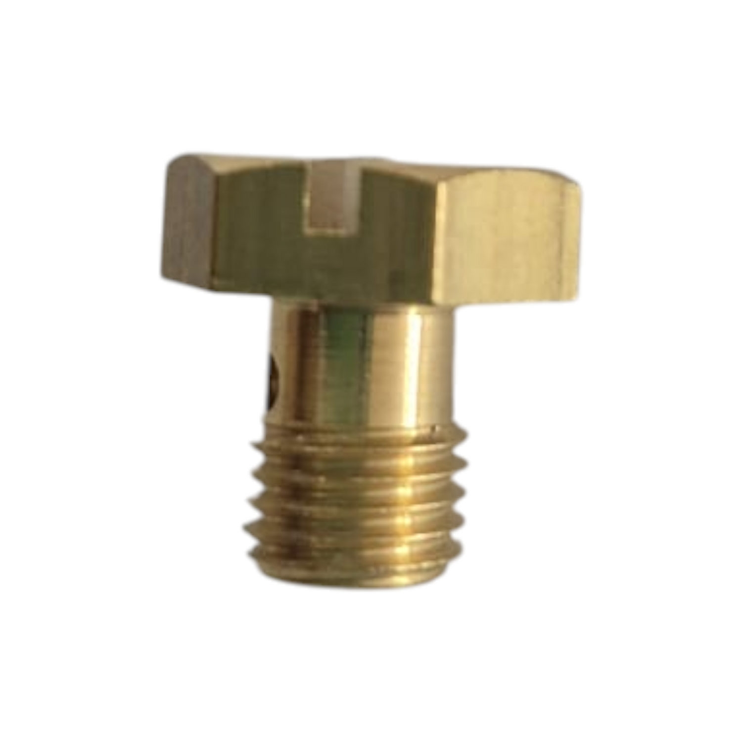 Drain Screw - Carburetor #22