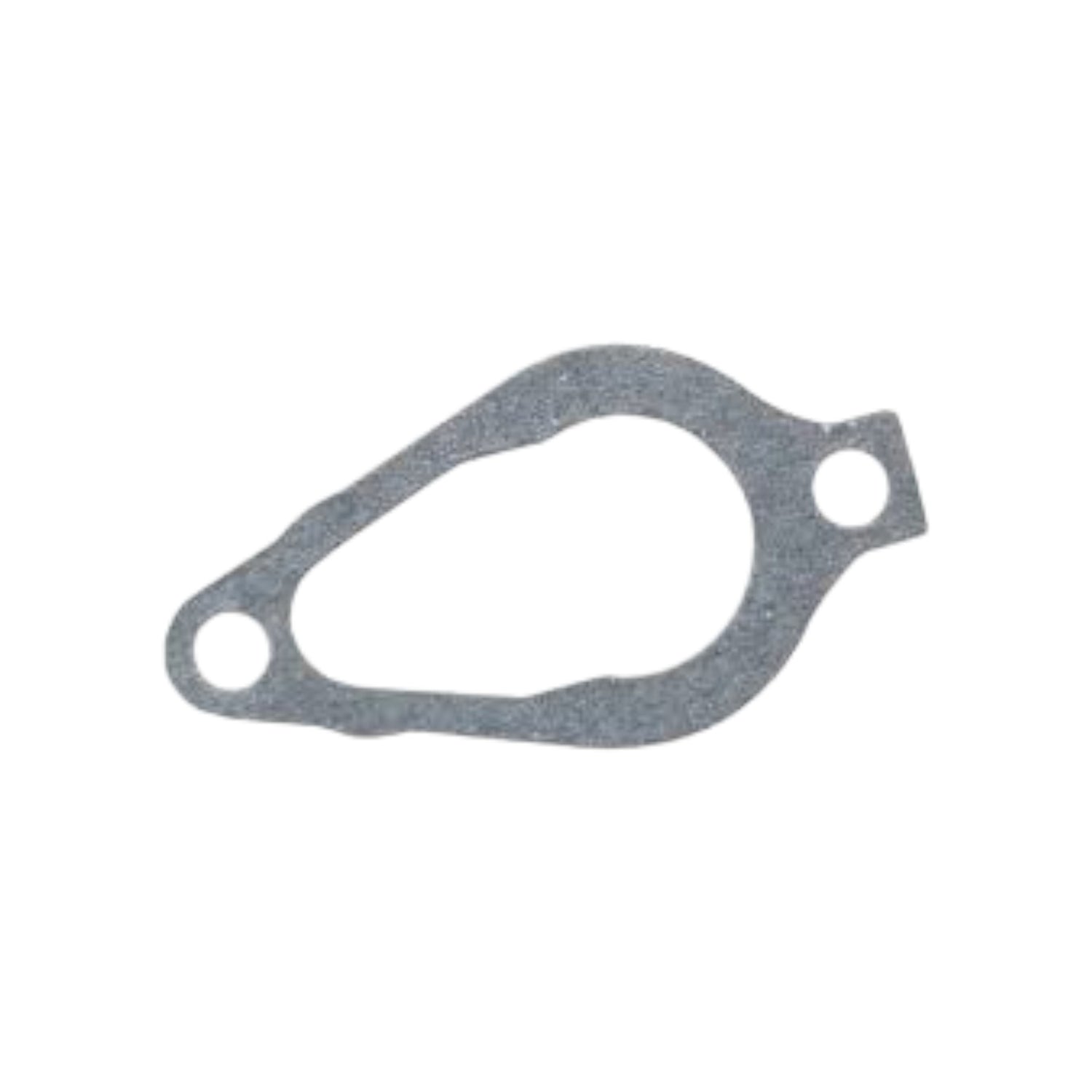 Thermostat Gasket - Cylinder Block #22